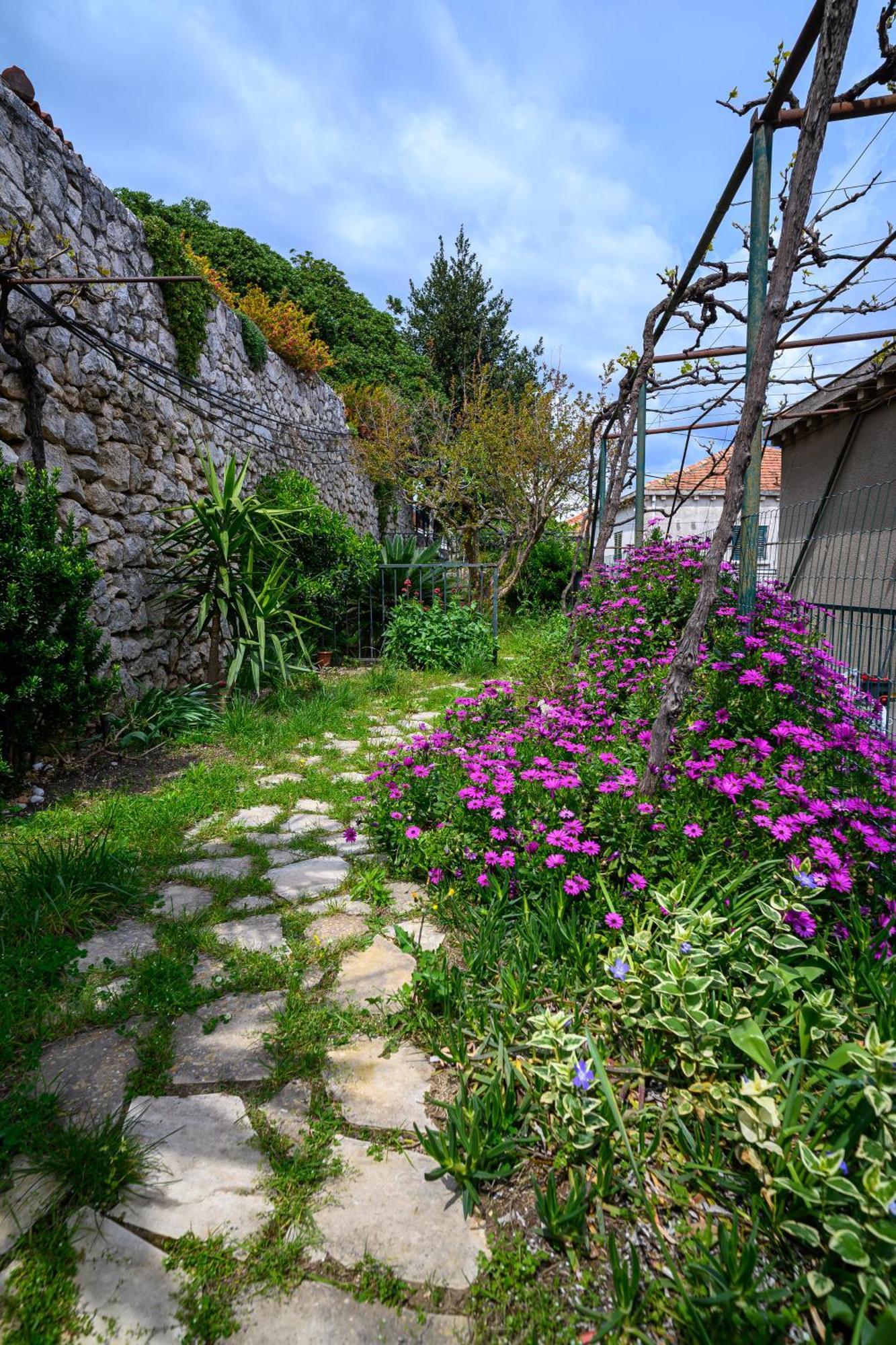 Green Holiday Dubrovnik Exterior photo